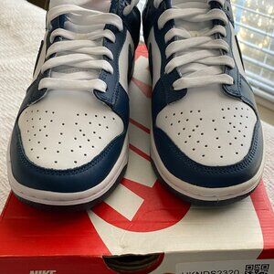 Nike Dunk Low Retro Valerian Blue Size 7